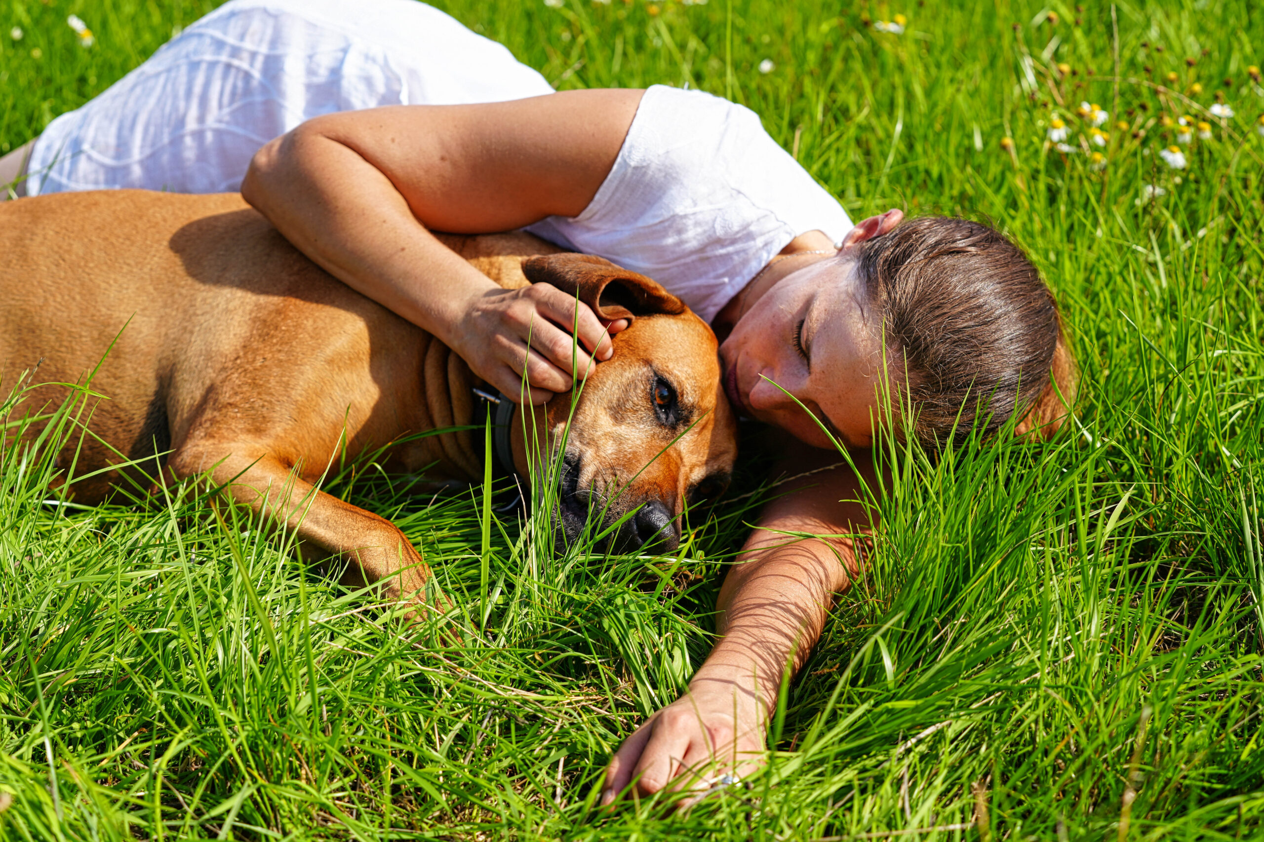 Frau liegt mit ihrem Hund im Gras bei einem natürlichen Hundeshooting